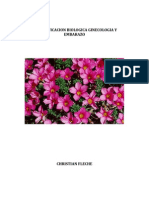 Biodescodificacion-y-Embarazo.pdf