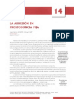 Adhesión en Odontología Restauradora (Cap 14 y 15) PDF
