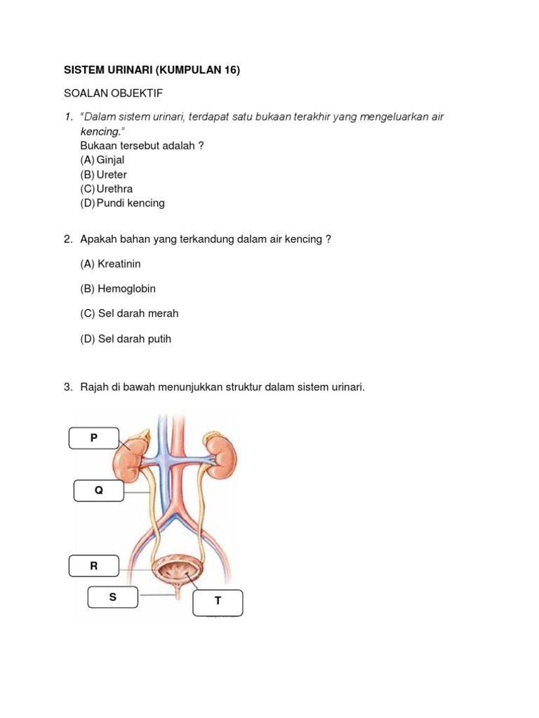  Soalan  Sistem Urinari