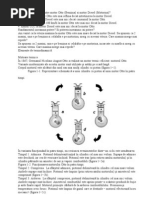 Diferentele La Masini Intre Motor Otto