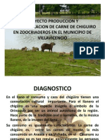 Proyecto Produccion y Comercializacion de Carne de Chiguiro