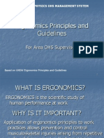 Ergonomics Principles and Guidelines