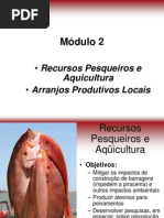 Piscicultura no Nordeste Brasileiro