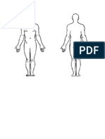 Hombre Frontal y Posterior