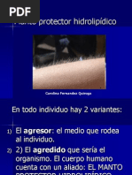 Manto protector hidrolipídico