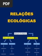 Relações Ecológicas