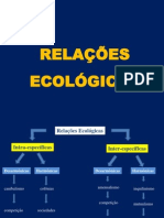 Relações Ecológicas