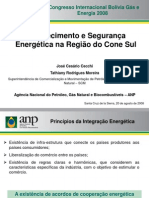 Abastecimento e segurança energética na Região do Cone Sul