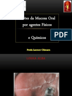 LesÃµes_da_Mucosa_Oral_por_agentes_fÃ-sicos_e_quÃ-micos  (1)