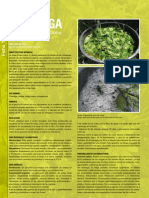 Revista_AE_Nº2_ficha_ORTIGA.pdf