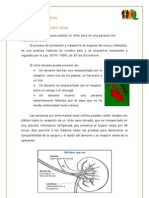 El Trasplante Renal