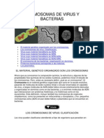 .Cromosomas de Virus y Bacterias