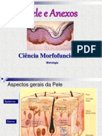 Pele e Anexos: Histologia e Embriologia