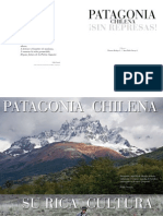 Patagonia Sin Repres As