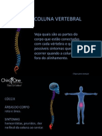 Coluna Vertebral