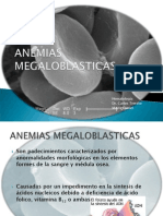 Anemiamegaloblastica 101208173429 Phpapp02