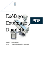 Esófago Estomago y Duodeno