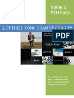 Giới thiệu tổng quan PVH