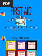 Principles of First Aid Overview | PDF | First Aid | Emergency