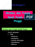 Amali 6 (Struktur dan fungsi Saraf).pptx.pdf