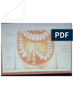 Oncology - Colonrectal CA (Extra)