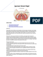 Download Berbagai Kegunaan Senam Kegel by doktergigikoe SN134472571 doc pdf