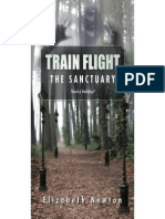 TRAIN FLIGHT (3)