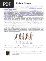 Trabalho - Evolução Humana