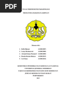 Download Trematoda Darah Dan Jaringan by Lenny Rachmawati SN134491095 doc pdf