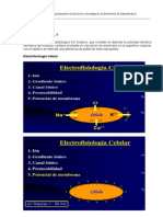 Ecg Normal PDF
