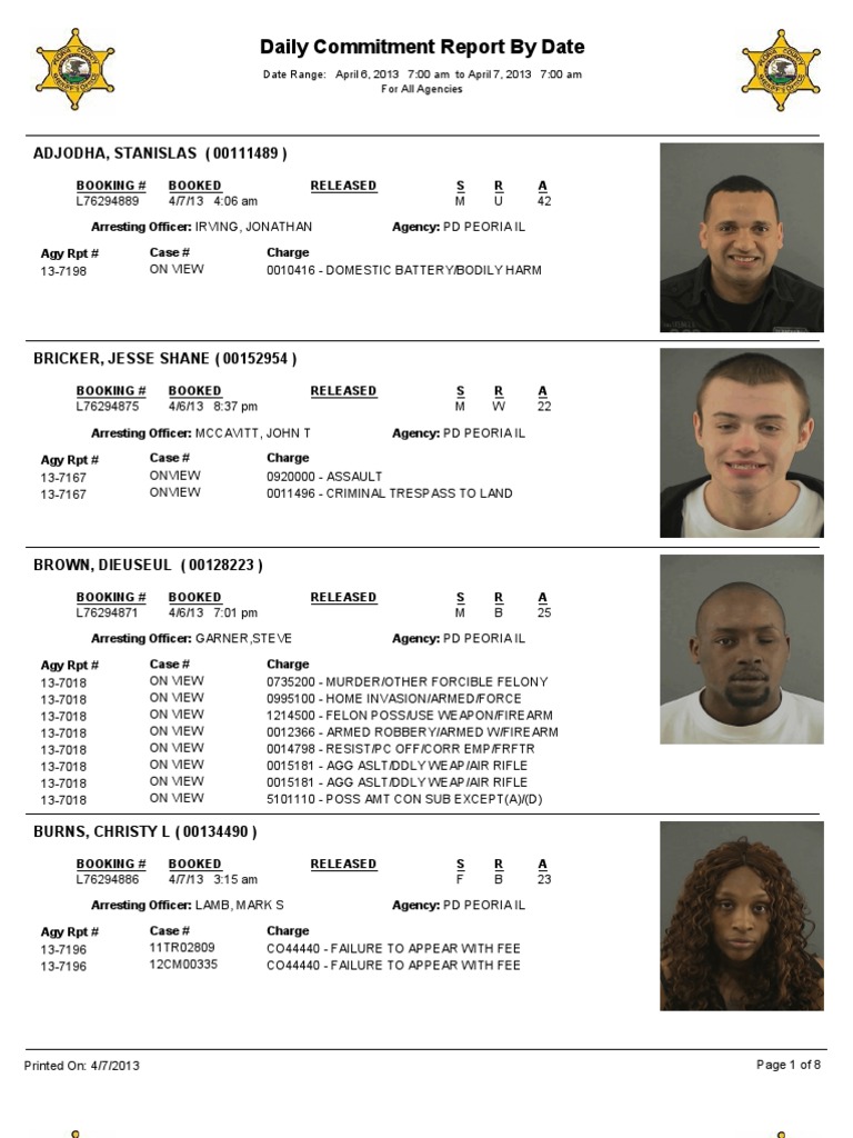 Peoria County Daily Commitment Report | PDF | Battery (Crime) | Violent Crime