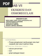 Download Ekskresi  Osmoregulasi Oleh Indra Gumay Yudha by Indra Gumay Yudha SN13449979 doc pdf