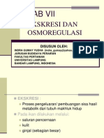 Ekskresi & Osmoregulasi Oleh Indra Gumay Yudha