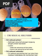 Download REPRODUKSI IKAN Oleh Indra Gumay Yudha by Indra Gumay Yudha SN13450474 doc pdf