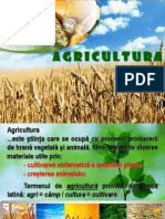 Agricultura - Prezentare PowerPoint