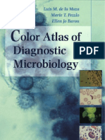 Colour Atlas of Diagnostic Microbiology