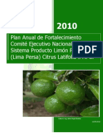 Plan Anual de Fortalecimiento Limon Persa