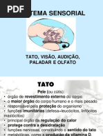 Sistema Sensorial