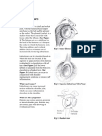 HO Labral Tears