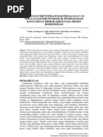Download 97166280 Isolasi Dan Identifikasi Bakteri Bacillus Sp Sebagai Bakteri Petrofilik Pendegradasi Kontaminan Hidrokarbon Pada Proses Bioremediasi by Gunadi P SN134561078 doc pdf