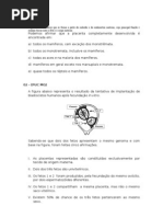 Anexos Embrionários