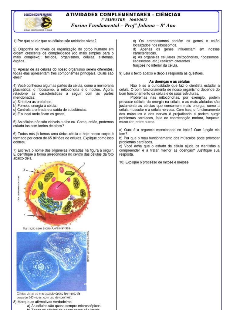 Apostila De Ciencias 8 Ano Volume 1 2018
