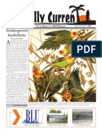 Endangered Audubons: Folly Beach's Newspaper