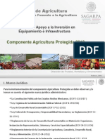 AGRICULTURA PROTEGIDA DGFA_Publicación_México