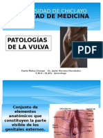 Patologías de La Vulva