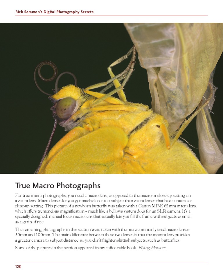 Macro Photography Lens Guide | PDF | Home & Garden