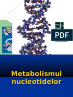 Metabolismul Ac - Nucleici