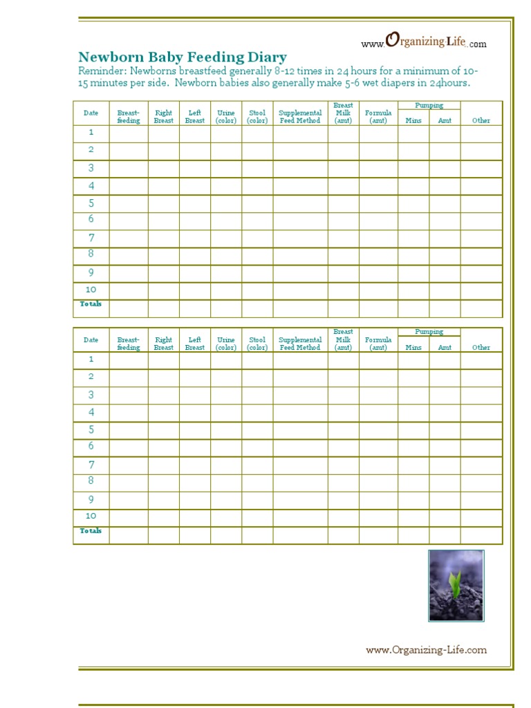 Breastfeeding Log PDF