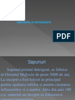 Sapunuri Si Detergenti