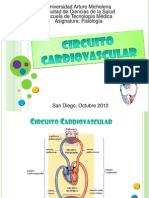 Circuito Cardiovascular